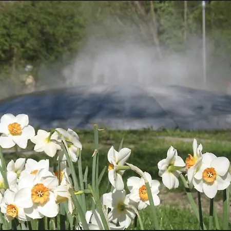 Hotel Gaestehaus Am Stadtpark Vocklabruck