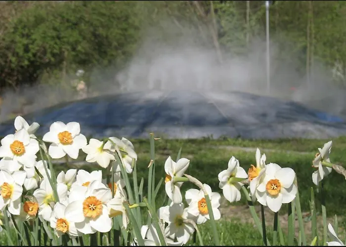 Hotel Gaestehaus Am Stadtpark Vöcklabruck